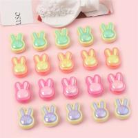 Two Tone Acrylic Beads, Rabbit, DIY Approx 3.5mm [