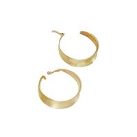 clou d'oreille en fer, Placage de couleur d'or, styles différents pour le choix & pour femme, 30-57mm, Vendu par paire