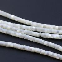 Trochus Beads, polished & DIY, white Approx 39 cm [