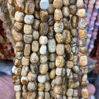 Picture Jasper Beads, Nuggets, polished, DIY, mixed colors Approx [