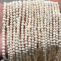 天然淡水真珠ルース ビーズ, 天然有核フレッシュウォーターパール, ファッションジュエリー & DIY, ホワイト, 4.5mm, 長さ:約 38 センチ, 売り手 ストランド[