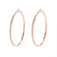 Iron Hoop Earring, plated, fashion jewelry & for woman 