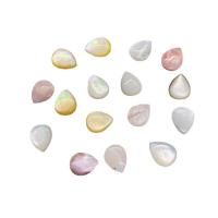 Seashell Beads, Shell, Teardrop, DIY [