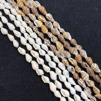 Perles en coquillage trompette, coquille, coquille, DIY, plus de couleurs à choisir Environ 38 cm, Vendu par brin