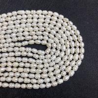 Rice Cultured Freshwater Pearl Beads, DIY white Approx 38 cm [