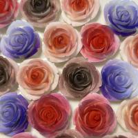 Flower Resin Beads, Rose, DIY 26mm [
