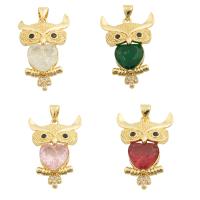 Cubic Zirconia Micro Pave Brass Pendant, Owl, gold color plated, fashion jewelry & micro pave cubic zirconia & for woman Approx 3mm 