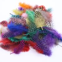 Feather Decoration, Chicken Feather, fashion jewelry & DIY & for woman 4.5-10CM 