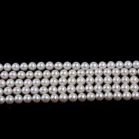 Naturel d'eau douce perles, perle d'eau douce cultivée, bijoux de mode & DIY, blanc, 10-11mm cm, Vendu par brin[