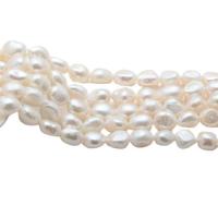 Perlas Keishi Cultivadas de Agua Dulce, Perlas cultivadas de agua dulce, Natural & Bricolaje & diverso tamaño para la opción, Blanco, longitud:aproximado 36 cm, Vendido por Sarta[