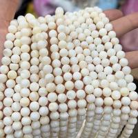Perles en coquille naturel, coquille d'eau douce, Rond, poli, DIY & normes différentes pour le choix, blanc Environ 38 cm, Vendu par brin[