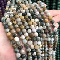Gemischte Edelstein Perlen, Meeresfossil, rund, poliert, DIY & verschiedene Größen vorhanden, gemischte Farben, Länge:ca. 38 cm, verkauft von Strang[