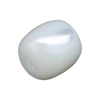 La Perla de Concha Natural, Concha de perla, Bricolaje & diferentes estilos para la opción, Vendido por UD[