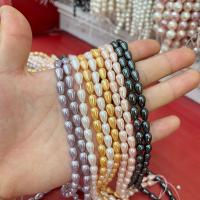Perles en coquille naturel, larme, poli, DIY & normes différentes pour le choix, plus de couleurs à choisir Environ 40 cm, Vendu par brin[