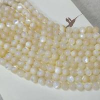 South Sea Shell Beads, Pearl Shell, Round, polished, DIY jade white color Approx 15.35 Inch [