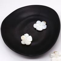 Seashell Beads, Natural Seashell, Flower, Carved, DIY, white 
