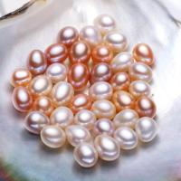 Natural Freshwater Pearl Loose Beads, Rice, DIY [