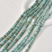 Dyed Shell Beads, fashion jewelry & DIY green Approx 38 cm 