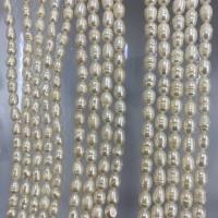 Rice Cultured Freshwater Pearl Beads, Natural & DIY white cm [