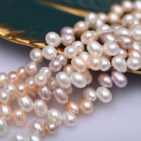 Perlas Arroz Freshwater, Perlas cultivadas de agua dulce, Bricolaje, multicolor, 7-8mm, longitud:aproximado 17 cm, Vendido por Sarta