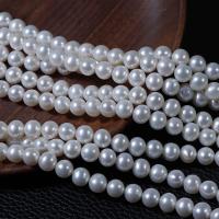 Perles de nacre rondes de culture d'eau douce, perle d'eau douce cultivée, DIY, blanc, 7mm Environ 40 cm, Vendu par brin