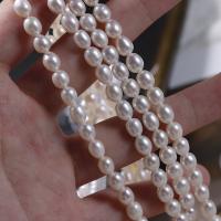 Perlas Arroz Freshwater, Perlas cultivadas de agua dulce, Bricolaje, Blanco, 5-6mm, longitud:aproximado 36 cm, Vendido por Sarta