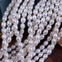 Perlas Arroz Freshwater, Perlas cultivadas de agua dulce, Bricolaje, Blanco, 8mm, longitud:aproximado 37 cm, Vendido por Sarta