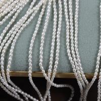 Perlas Arroz Freshwater, Perlas cultivadas de agua dulce, Bricolaje, Blanco, 2.5mm, longitud:aproximado 37-38 cm, Vendido por Sarta
