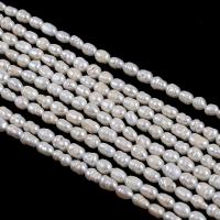 Perlas Arroz Freshwater, Perlas cultivadas de agua dulce, Bricolaje, Blanco, 5-6mm, longitud:aproximado 34-36 cm, Vendido por Sarta