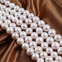 Perles de nacre rondes de culture d'eau douce, perle d'eau douce cultivée, DIY, blanc, 10-15mm Environ 36-38 cm, Vendu par brin
