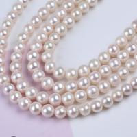 Perles de nacre rondes de culture d'eau douce, perle d'eau douce cultivée, DIY, blanc, 8-9mm Environ 36 cm, Vendu par brin