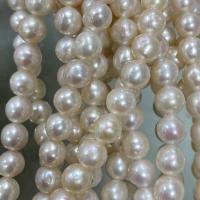 Natural Freshwater Pearl Loose Beads, Slightly Round, DIY, white, 6-7mm Approx 37 cm [