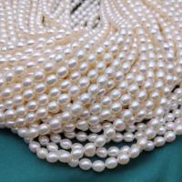 Rice Cultured Freshwater Pearl Beads, DIY, white, 5-6mm Approx 37 cm 