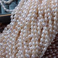 Perles d'eau douce de culture de riz, perle d'eau douce cultivée, DIY, plus de couleurs à choisir, 5-6mm Environ 37 cm, Vendu par brin