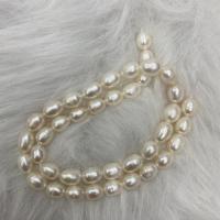 Rice Cultured Freshwater Pearl Beads, DIY, white, 8-9mm Approx 37 cm 
