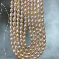 Perlas Arroz Freshwater, Perlas cultivadas de agua dulce, Bricolaje, Rosado, 5-5.5mm, longitud:aproximado 37 cm, Vendido por Sarta