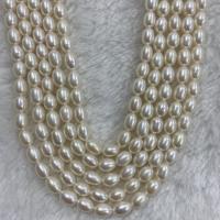 Rice Cultured Freshwater Pearl Beads, DIY, white, 5-6mm Approx 37 cm 