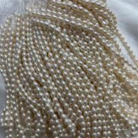 Perlas Arroz Freshwater, Perlas cultivadas de agua dulce, Bricolaje, Blanco, 5-6mm, longitud:aproximado 37 cm, Vendido por Sarta