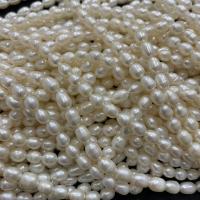 Perles d'eau douce de culture de riz, perle d'eau douce cultivée, DIY, blanc, 5-6mm Environ 37 cm, Vendu par brin