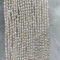 Perles d'eau douce de culture de riz, perle d'eau douce cultivée, DIY, blanc, 3-3.5mm Environ 37 cm, Vendu par brin