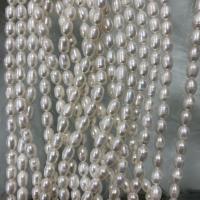 Perlas Arroz Freshwater, Perlas cultivadas de agua dulce, Bricolaje, Blanco, 7-8mm, longitud:aproximado 37 cm, Vendido por Sarta
