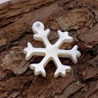 Natural Freshwater Shell Pendants, Snowflake, DIY 