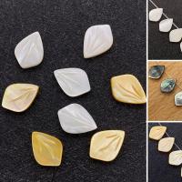 Natural Freshwater Shell Beads, Leaf, DIY 