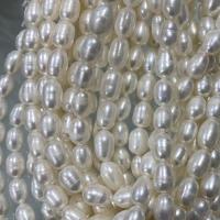 Rice Cultured Freshwater Pearl Beads, DIY, white, 7-8mm Approx 37 cm 