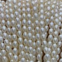 Perles d'eau douce de culture de riz, perle d'eau douce cultivée, DIY, blanc, 4-4.5mm Environ 37 cm, Vendu par brin