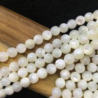 Turbanschnecken Perlen, Muschelkern, Etwas rund, DIY, weiß, 6mm, Länge:ca. 37 cm, verkauft von Strang