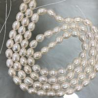 Perles d'eau douce de culture de riz, perle d'eau douce cultivée, DIY, blanc, 7-8mm Environ 37 cm, Vendu par brin