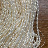 Perlas Patata Freshwater, Perlas cultivadas de agua dulce, Bricolaje, Blanco, 2-3mm, longitud:aproximado 37 cm, Vendido por Sarta[