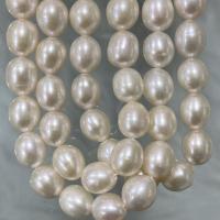 Perlas Arroz Freshwater, Perlas cultivadas de agua dulce, Bricolaje, Blanco, 7-8mm, longitud:aproximado 37 cm, Vendido por Sarta