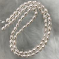 Perlas Arroz Freshwater, Perlas cultivadas de agua dulce, Bricolaje, Blanco, 3-4mm, longitud:aproximado 37 cm, Vendido por Sarta